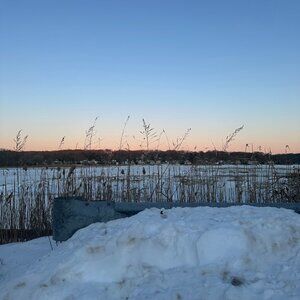 Meet your Posher, Cara